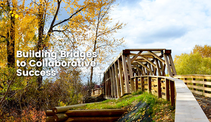 Building Bridges to Collaborative Success